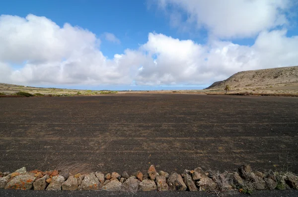 Campo nel deserto — Foto Stock