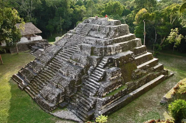 Maya pyramid — Stockfoto