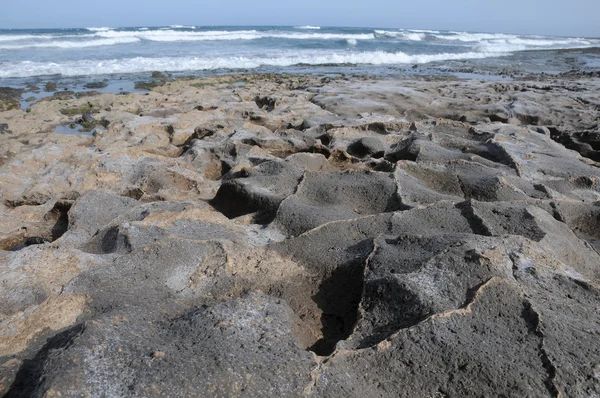 Lava Coast near the Ocean — Stock Photo, Image