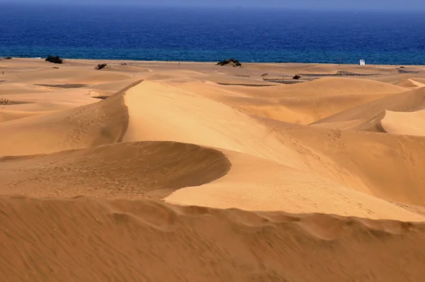 Deserto di sabbia — Foto Stock