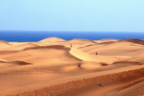 Deserto de areia — Fotografia de Stock