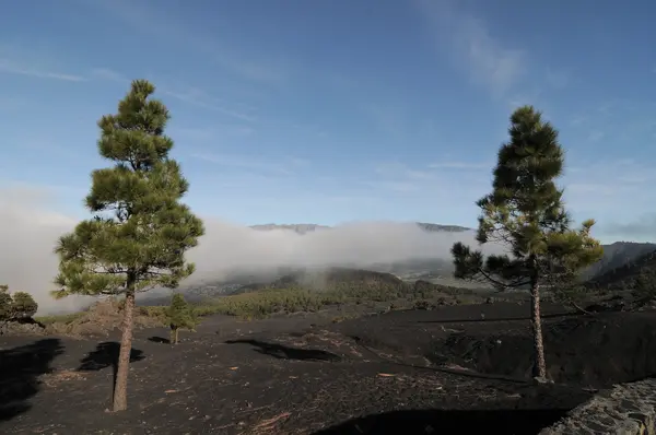 Sur les Nuages Blancs — Photo