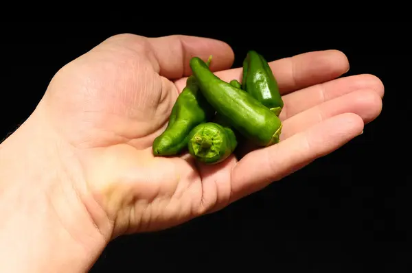 Peperoncini piccanti — Foto Stock