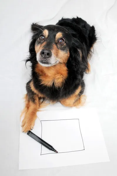 Tekening hond — Stockfoto