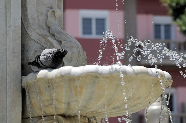 Water spatten uit een marmeren fontein — Stockfoto