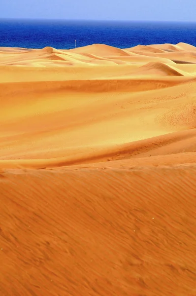 Desierto de arena — Foto de Stock