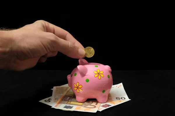 Pink Pig Piggy Bank — Stock Photo, Image