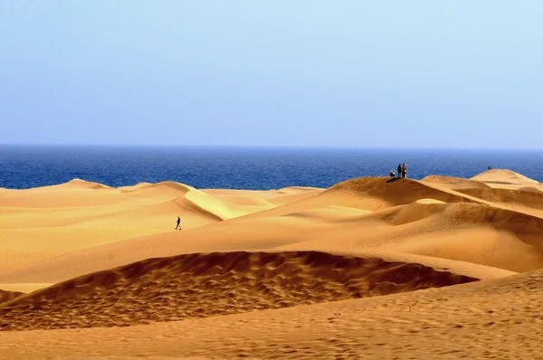 Desierto de arena — Foto de Stock