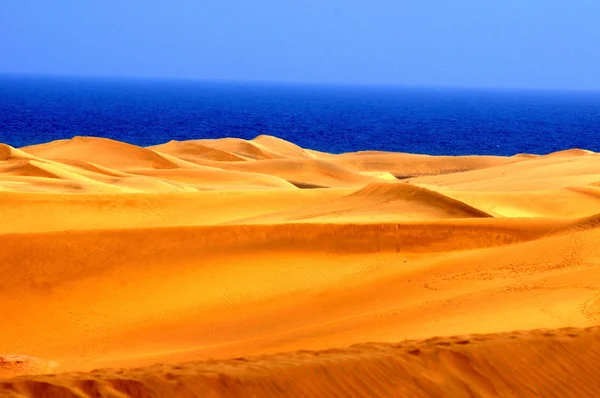 Desierto de arena — Foto de Stock