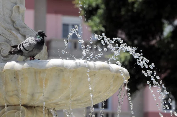 Water spatten uit een marmeren fontein — Stockfoto