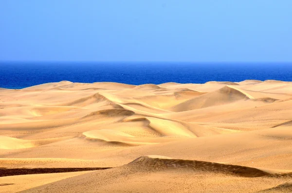 Sand Desert — Stock Photo, Image