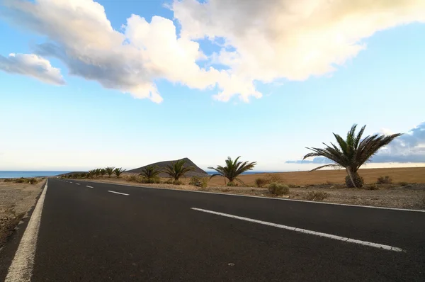 Camino solitario en el desierto — Foto de Stock