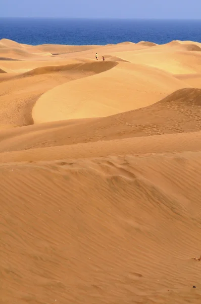 Sand Desert — Stock Photo, Image