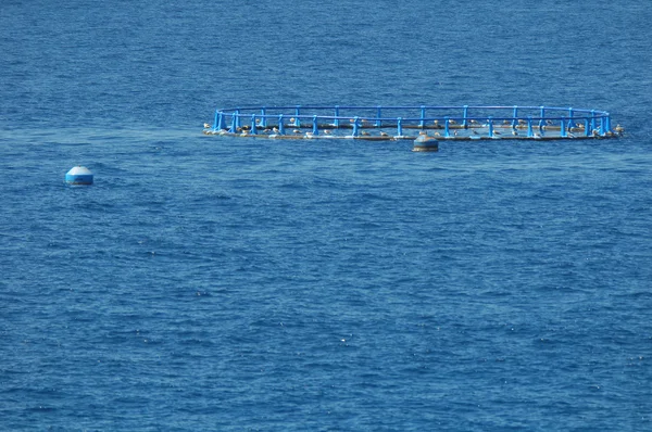 Ferme piscicole dans l'océan Atlantique — Photo