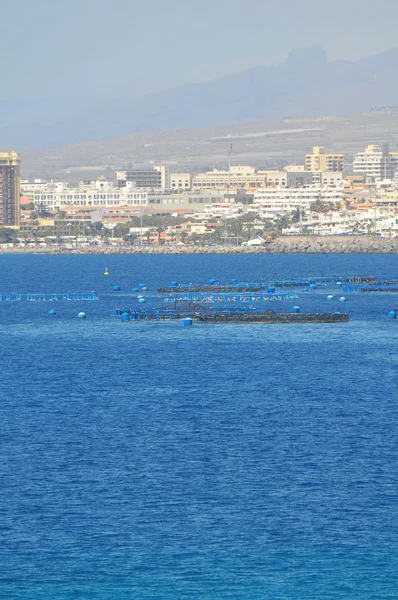 Ferme piscicole dans l'océan Atlantique — Photo