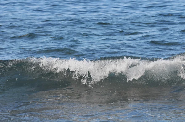 Wave in the Blue Atlantic Ocean — Stock Photo, Image
