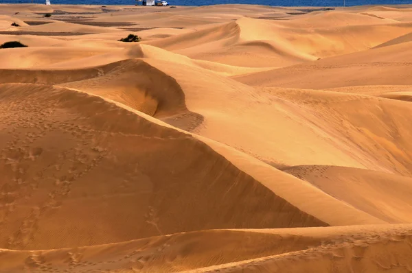 Desierto de arena — Foto de Stock