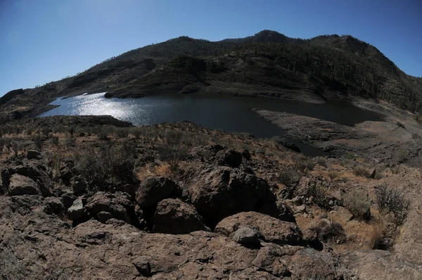 Lake Edge — Stock Photo, Image