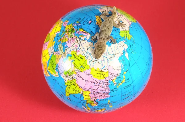 Gecko ödla och globe — Stockfoto