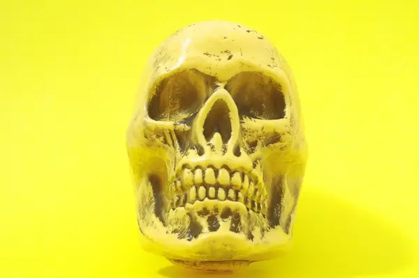 Yellow Skull — Stock Photo, Image