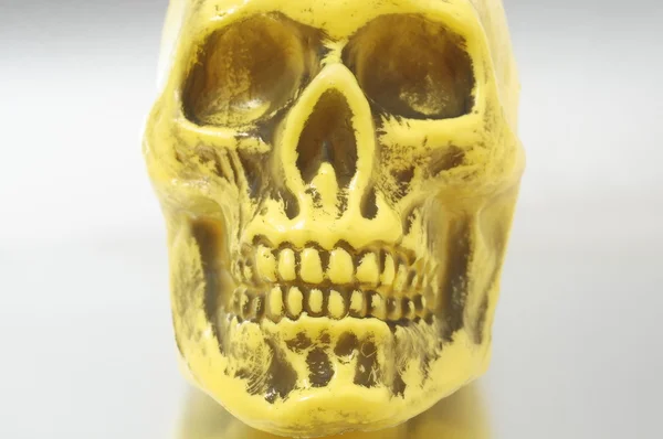 黄色の頭蓋骨 — ストック写真