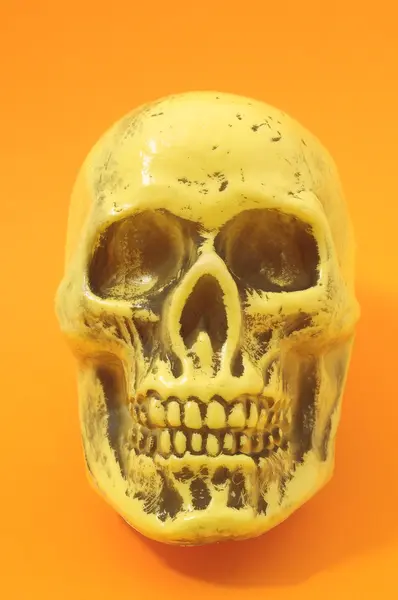 Yellow Skull — Stock Photo, Image