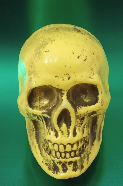 Yellow Skull — Stock Photo, Image