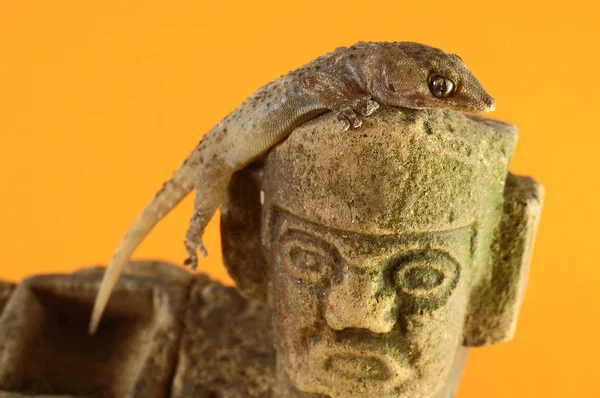 Statue de Gecko Lizard et Maya — Photo