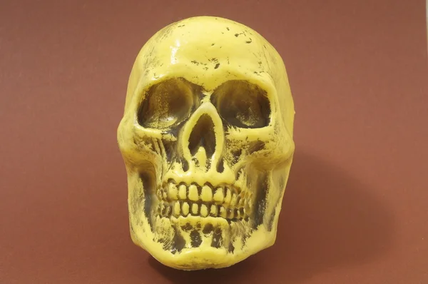 Yellow Skull — Stock Photo, Image