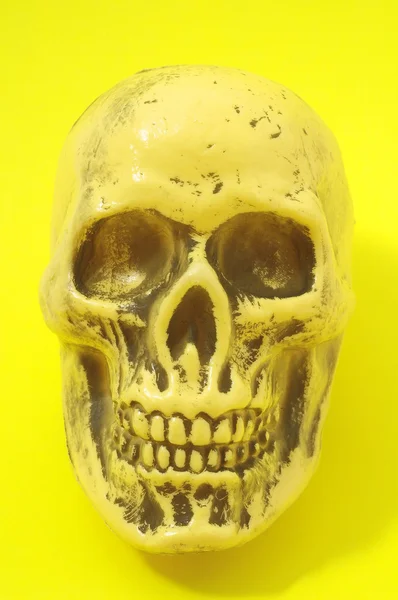 Yellow Skull — Stock Photo, Image