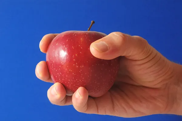 Manzana en la mano — Foto de Stock