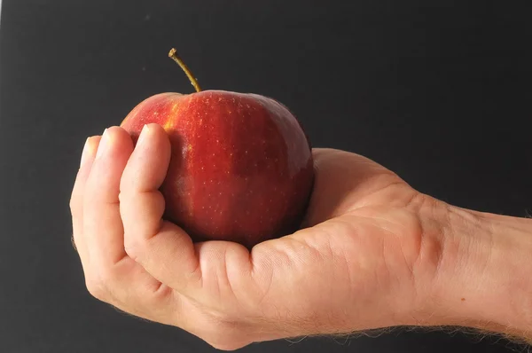Äpple på handen — Stockfoto