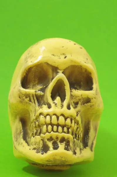 Yellow Skull — Stock Photo, Image