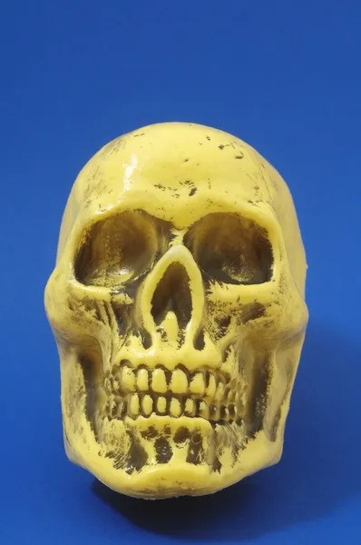 Yellow Skull — Stock Photo, Image