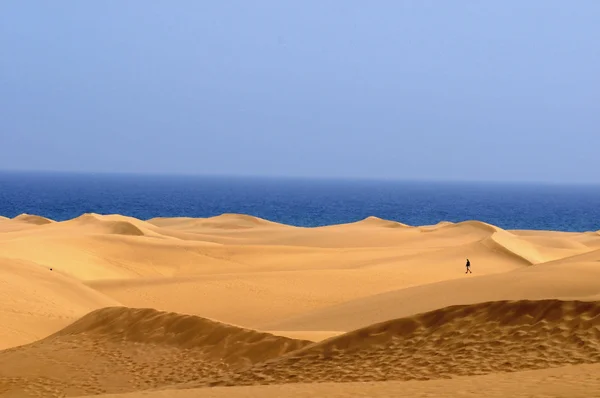 Deserto di sabbia — Foto Stock