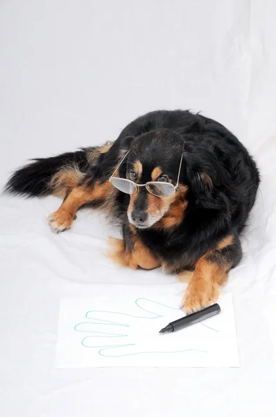 Dibujo perro — Foto de Stock