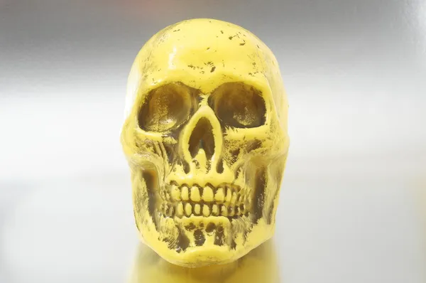 Żółta czaszka — Zdjęcie stockowe