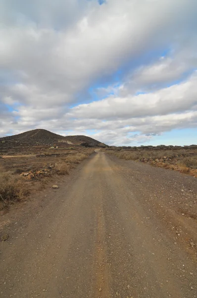 Camino de arena y rocas en el desierto — Foto de Stock