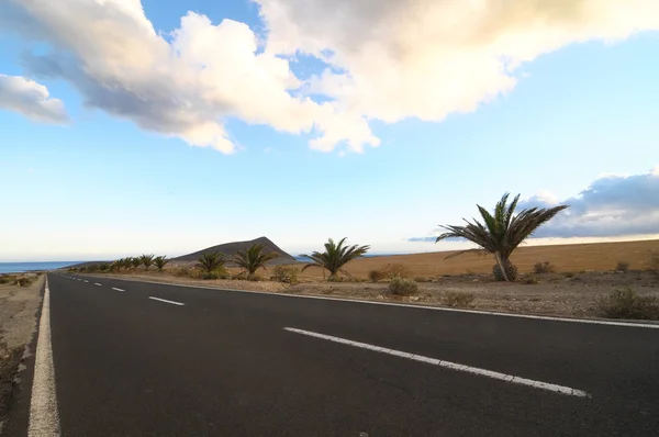 Lonely road i öknen — Stockfoto