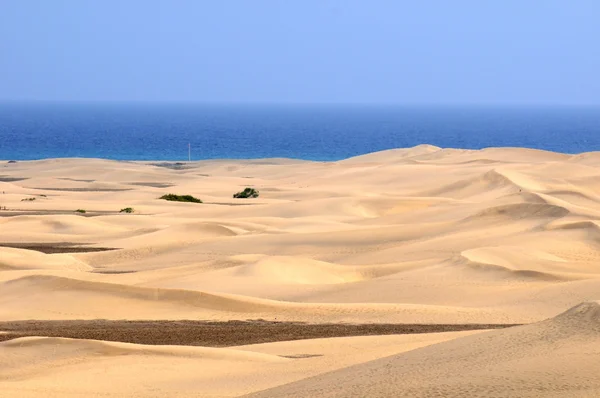 Deserto di sabbia — Foto Stock