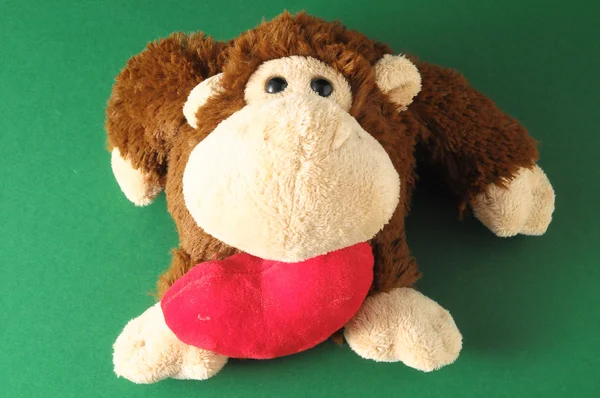 Funny Brown Monkey — Stock Photo, Image
