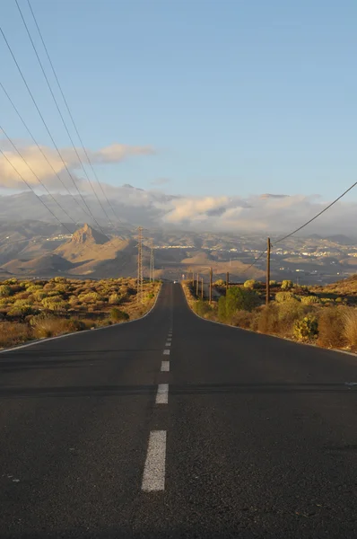 Asphalt Road in the Desert — Stock Photo, Image