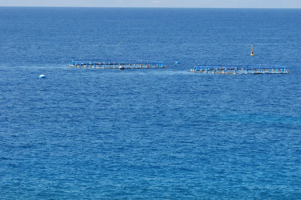 Fish Farm in the Atlantic Ocean — Stock Photo, Image