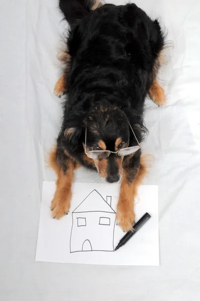 Ritning hund — Stockfoto