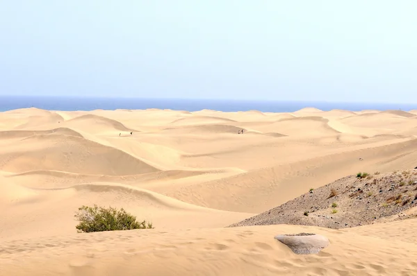 Deserto di sabbia — Foto Stock