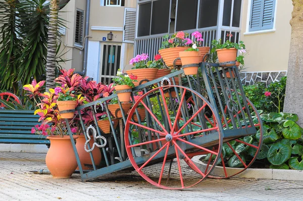 Carrinho de flores — Fotografia de Stock