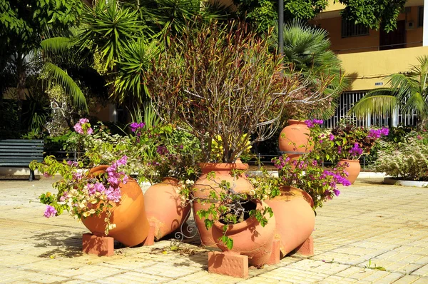 Keramiska trädgård potten — Stockfoto