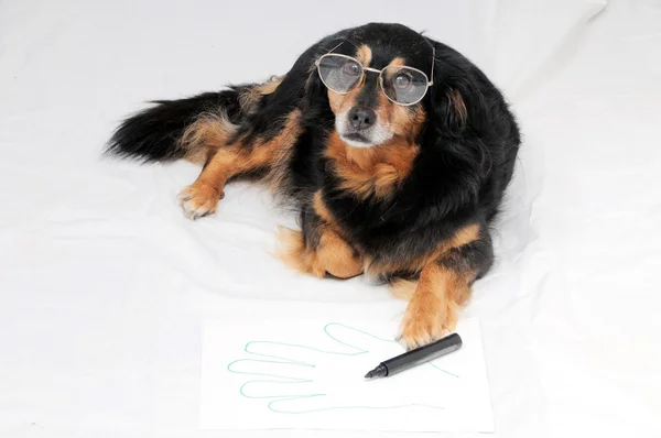 Ritning hund — Stockfoto