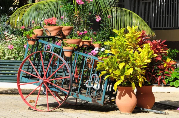 Vagão e Plantas — Fotografia de Stock