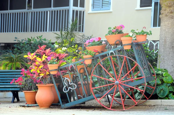 Vagão e Plantas — Fotografia de Stock